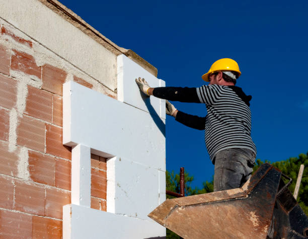 Best Insulation Installation Services in Jackson, LA