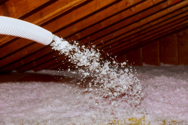 Best Commercial Insulation in Jackson, LA