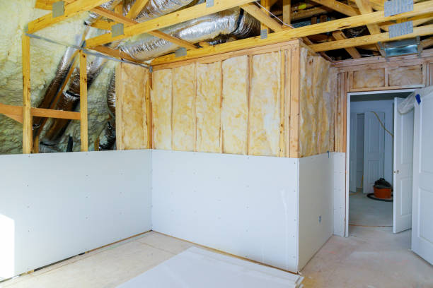 Professional Insulation Contractor in LA
